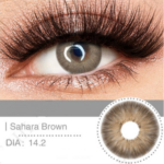 عدسة فرش ليدي | Fresh Lady Sahara brown
