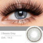 عدسة فرش ليدي | Fresh Lady Bassia gray