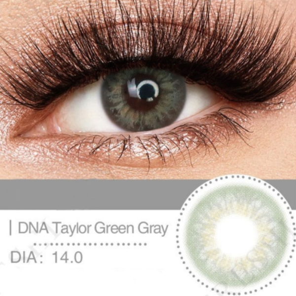عدسة فرش ليدي | Fresh Lady DNA Taylor green gray