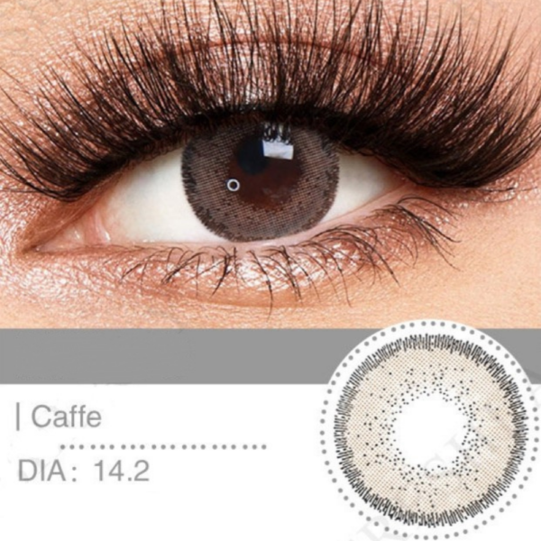 عدسة فرش ليدي - كافيه | Fresh lady Caffe Contact Lenses