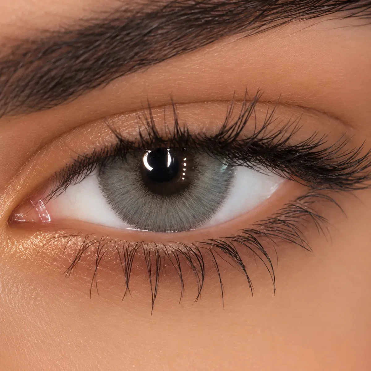 ⁦عدسة فرش ليدي - سموكي | Fresh lady Smokey Contact Lenses⁩ - الصورة ⁦2⁩