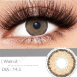 عدسة فرش ليدي - والنت | Fresh lady Walnut Contact Lenses