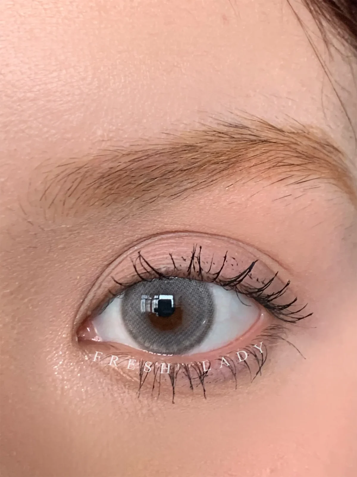⁦عدسة فرش ليدي - بيرل جراي | Fresh lady Pearl Gray Contact Lenses⁩ - الصورة ⁦3⁩