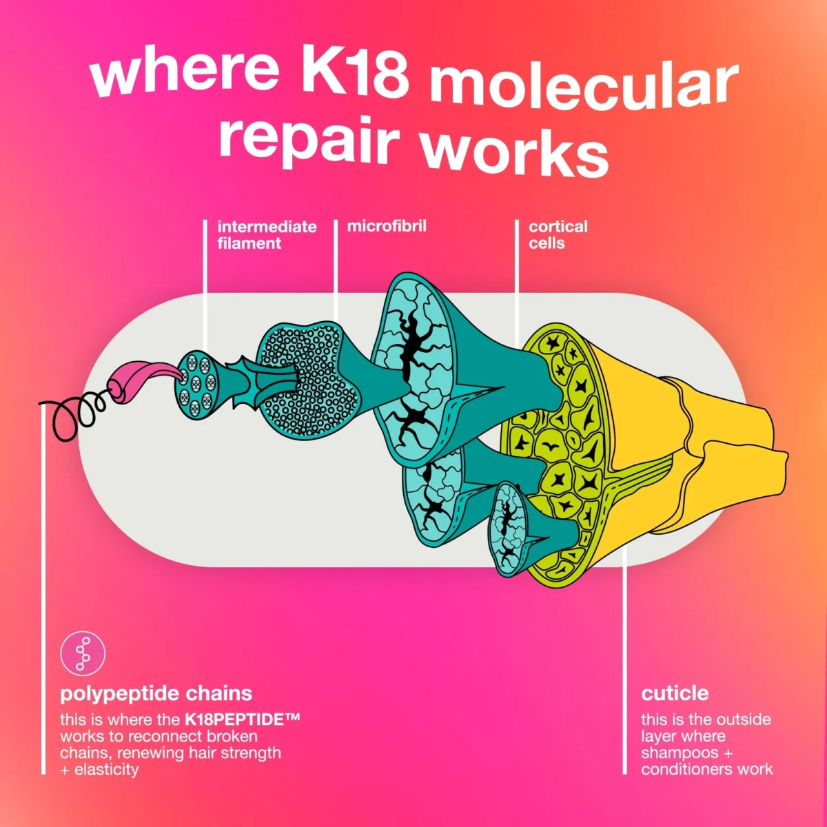 ⁦ماسك كي 18 للإصلاح الجزيئي للشعر (يُترك على الشعر) (K18 Biomimetic Hairscience Leave-in Molecular Repair Hair Mask) - 50 مل⁩ - الصورة ⁦5⁩