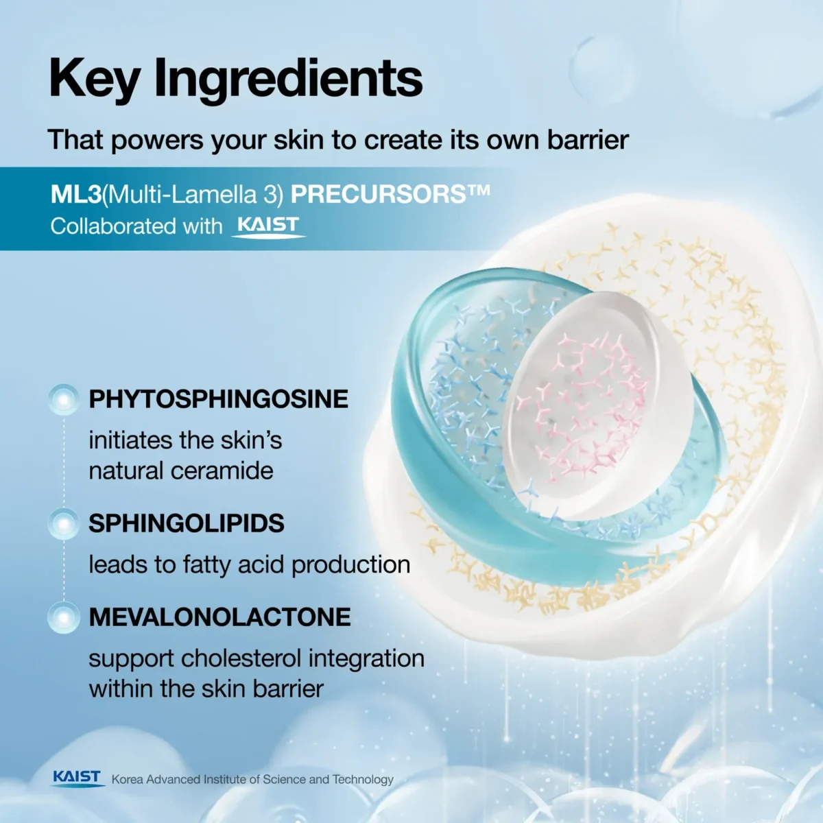 ⁦كريم مكثف باريير ريبوت لإصلاح حاجز البشرة من أنوا (Anua Barrier Reboot Intensive Cream) - 100 مل⁩ - الصورة ⁦4⁩