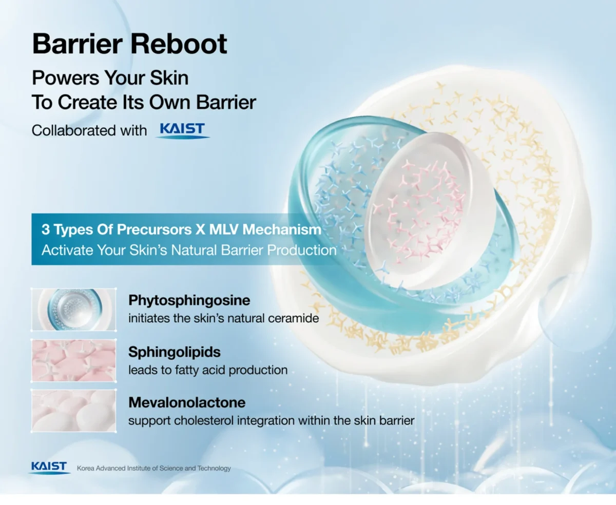 ⁦كريم جل مائي باريير ريبوت لإصلاح حاجز البشرة من أنوا (Anua Barrier Reboot Water Gel Cream) - 100 مل⁩ - الصورة ⁦3⁩