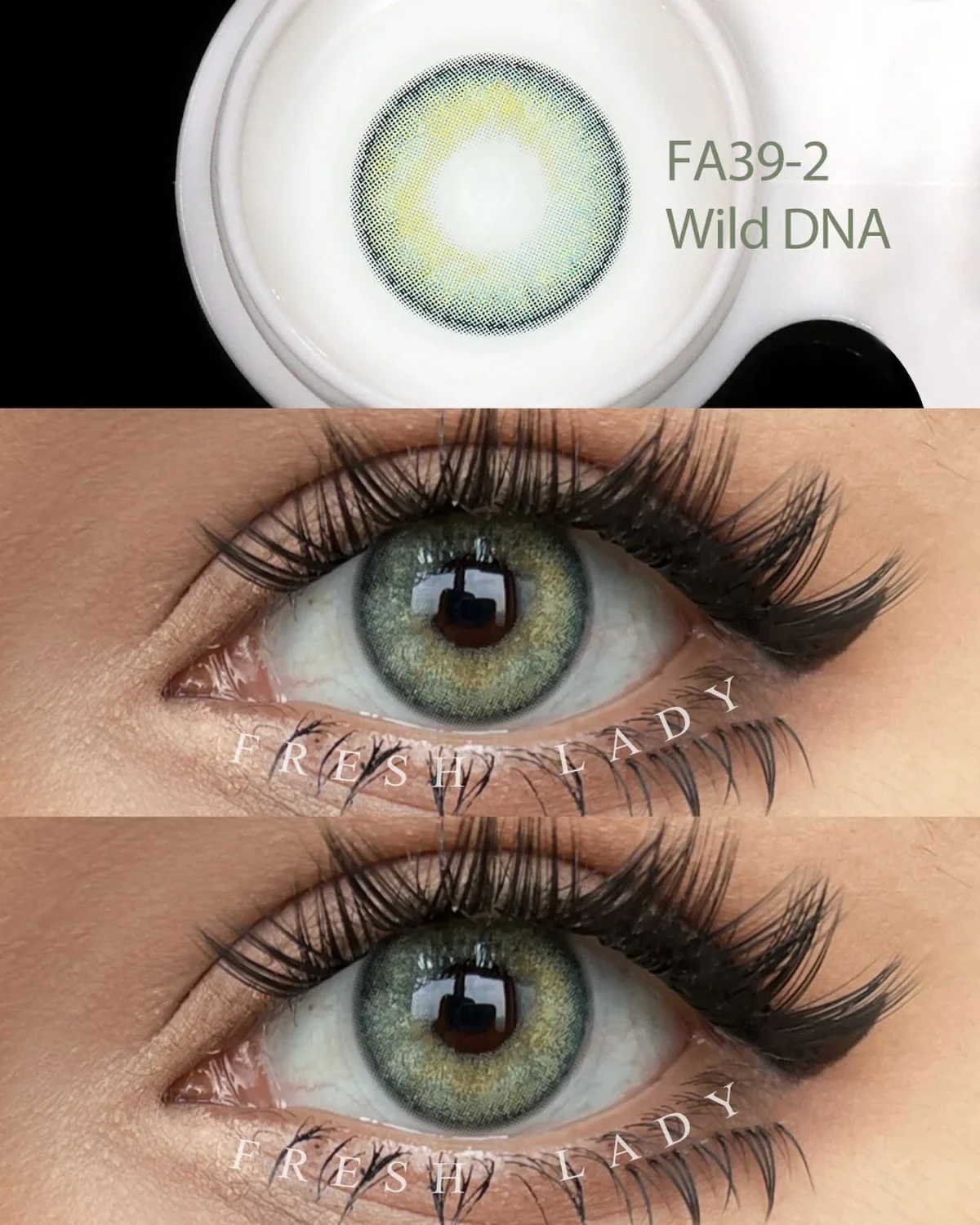 ⁦عدسة فرش ليدي - وايلد دي إن إيه | Fresh lady Wild DNA Contact Lenses⁩ - الصورة ⁦3⁩